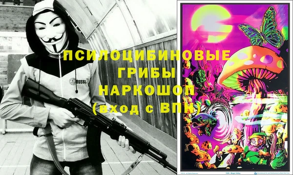 герыч Бородино